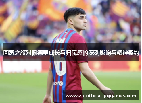 回家之旅对佩德里成长与归属感的深刻影响与精神契约